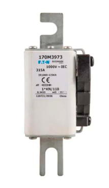 170M3981 Fuse size 1, 1000 Vac (IEC), 50A fuse